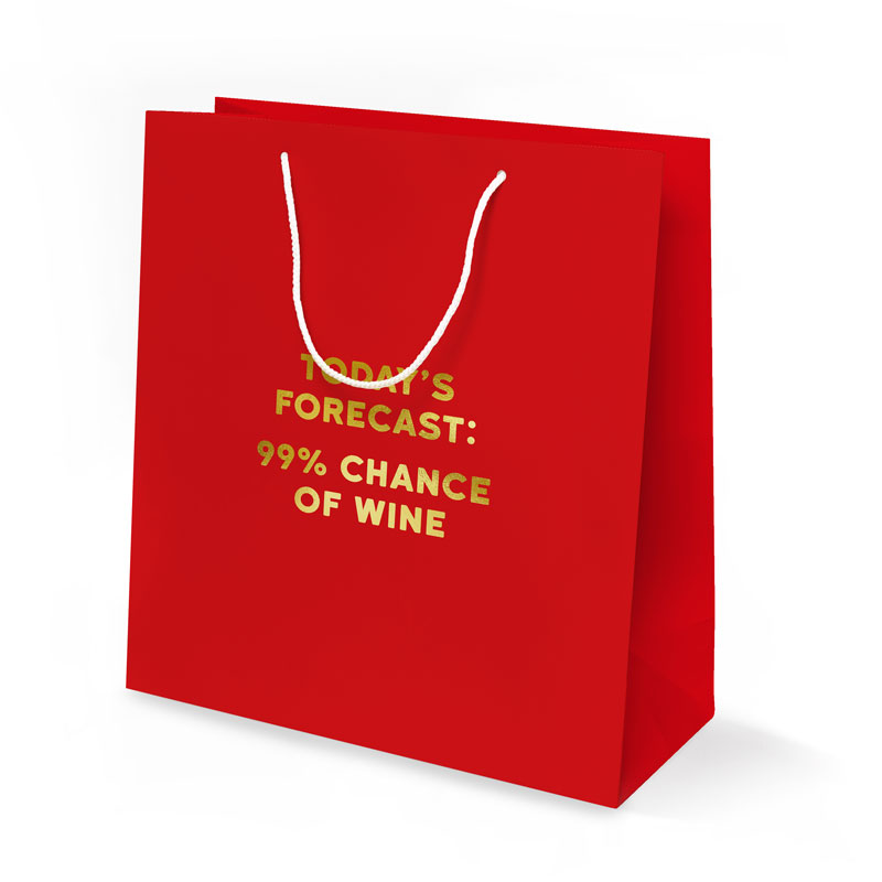 Forecast Gift Bag